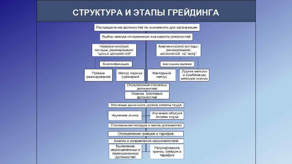 СТРУКТУРА И ЭТАПЫ ГРЕЙДИНГА 