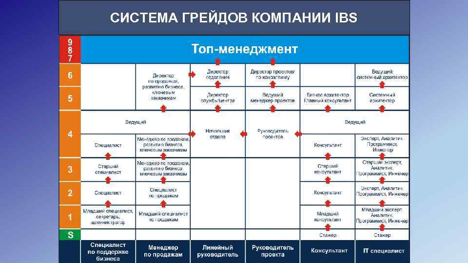 СИСТЕМА ГРЕЙДОВ КОМПАНИИ IBS 