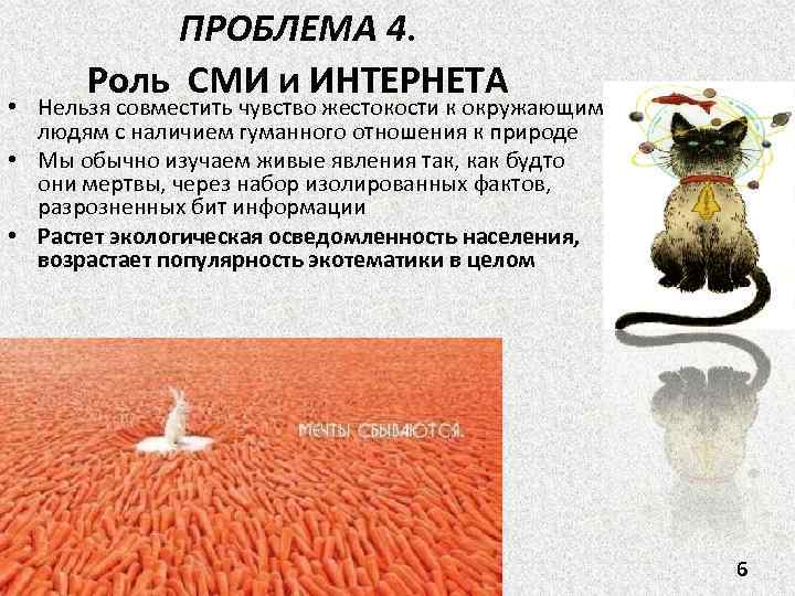 ПРОБЛЕМА 4. Роль СМИ и ИНТЕРНЕТА • Нельзя совместить чувство жестокости к окружающим людям