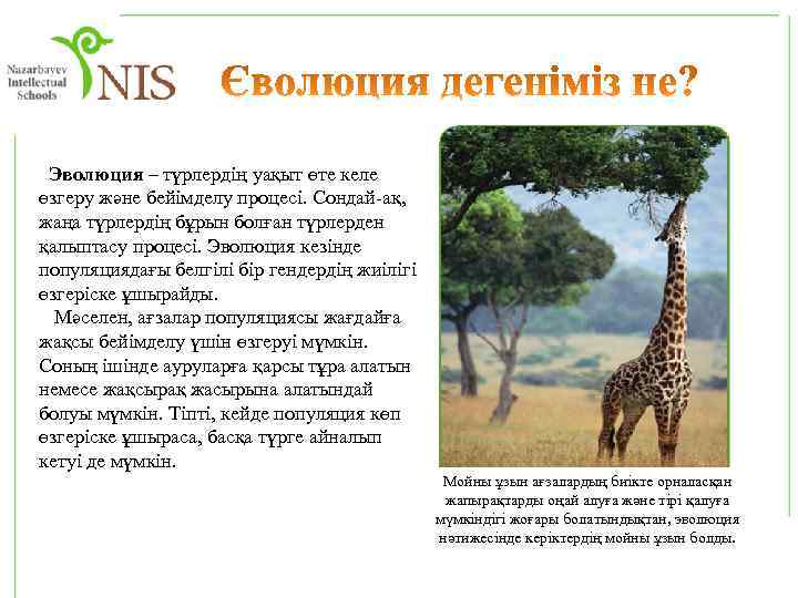  Эволюция – түрлердің уақыт өте келе өзгеру және бейімделу процесі. Сондай-ақ, жаңа түрлердің