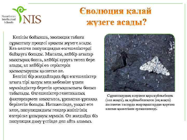  Келісім бойынша, эволюция табиғи сұрыпталу процесі арқылы жүзеге асады. Кез-келген популяциядан өзгешеліктерді байқауға