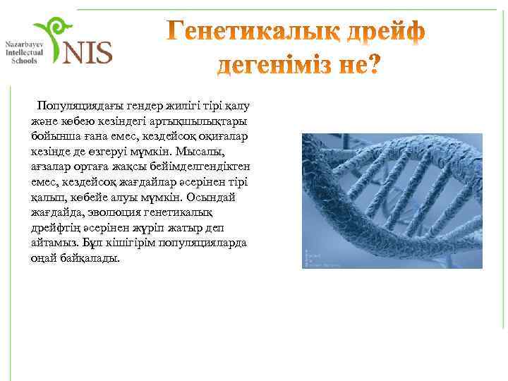  Популяциядағы гендер жилігі тірі қалу және көбею кезіндегі артықшылықтары бойынша ғана емес, кездейсоқ