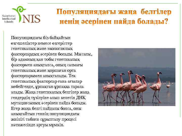 Популяциядағы біз байқайтын өзгешеліктер немесе өзгерістер генетикалық және экологиялық факторлардың әсерінен болады. Мысалы, бір