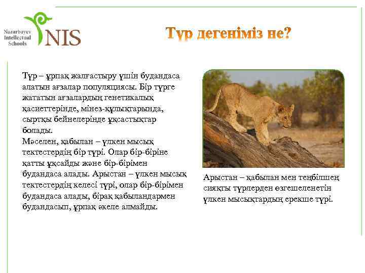 Түр – ұрпақ жалғастыру үшін будандаса алатын ағзалар популяциясы. Бір түрге жататын ағзалардың генетикалық