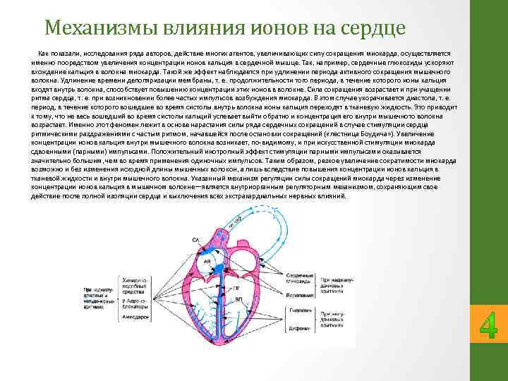 Примеры сердец