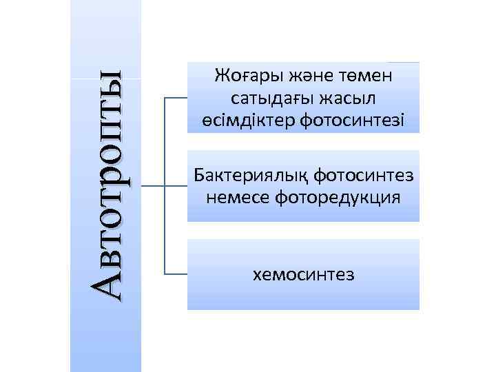 Автотропты Жоғары және төмен сатыдағы жасыл өсімдіктер фотосинтезі Бактериялық фотосинтез немесе фоторедукция хемосинтез 