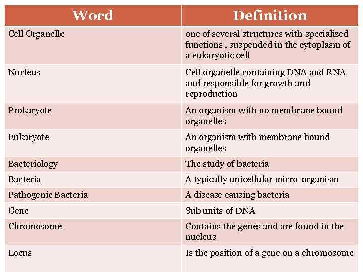 Word Cell Organelle Definition Keywordsone of several structures with specialized – Recap! functions ,