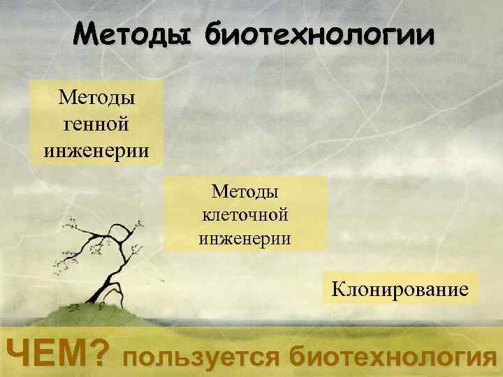 Методы биотехнологии Методы генной инженерии Методы клеточной инженерии Клонирование ЧЕМ? пользуется биотехнология 