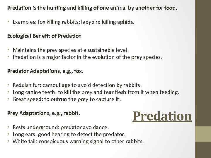 Predation is the hunting and killing of one animal by another food. • Examples: