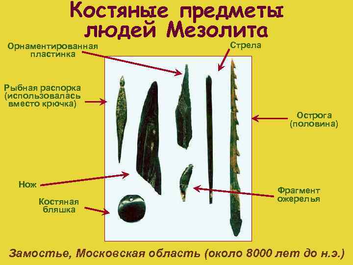 Костяные предметы людей Мезолита Орнаментированная пластинка Стрела Рыбная распорка (использовалась вместо крючка) Острога (половина)