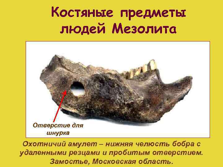 Костяные предметы людей Мезолита Отверстие для шнурка Охотничий амулет – нижняя челюсть бобра с