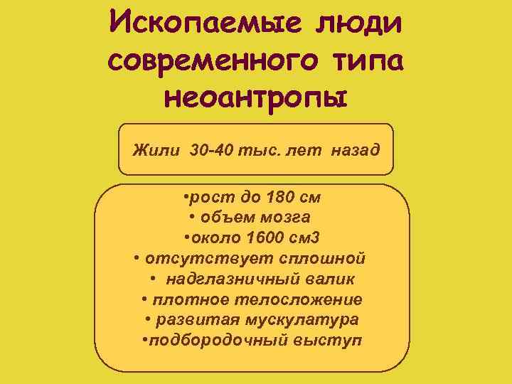 Ископаемые люди современного типа неоантропы Жили 30 -40 тыс. лет назад • рост до