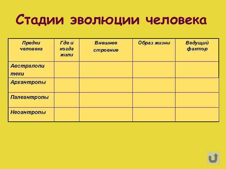 Стадии эволюции человека Предки человека Австралопи теки Архантропы Палеантропы Неоантропы Где и когда жили