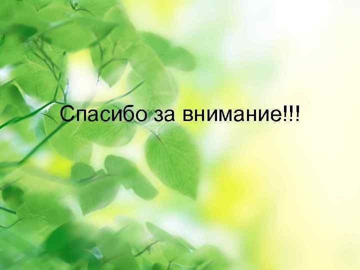 Спасибо за внимание!!! 