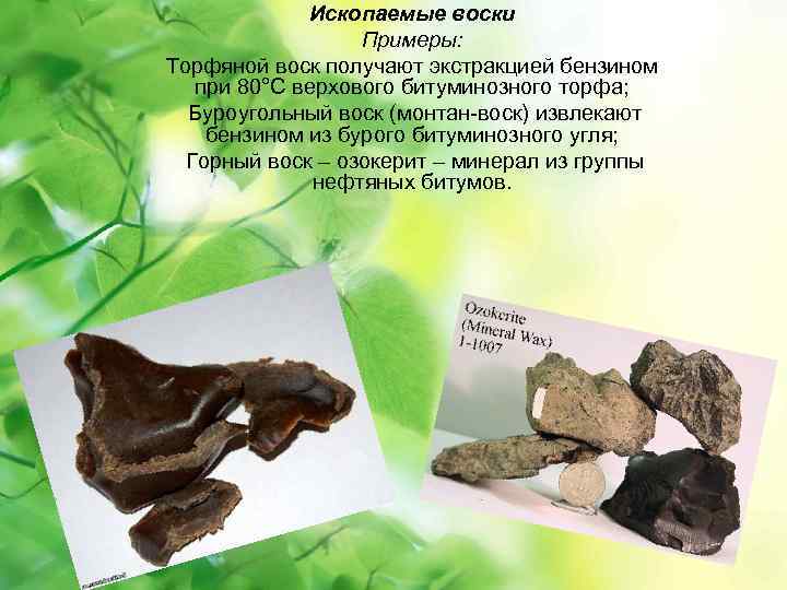 Ископаемые воски Примеры: Торфяной воск получают экстракцией бензином при 80°С верхового битуминозного торфа; Буроугольный