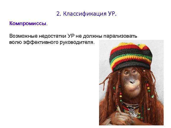 2. Классификация УР. Компромиссы. Возможные недостатки УР не должны парализовать волю эффективного руководителя. 