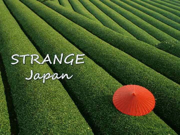 STRANGE Japan 