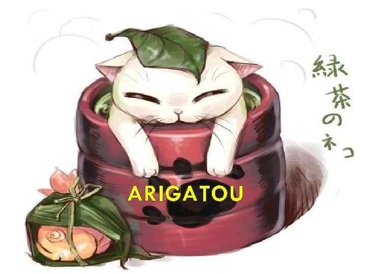 ARIGATOU 