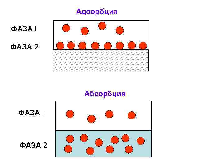 Адсорбция ФАЗА I ФАЗА 2 Абсорбция ФАЗА I ФАЗА 2 