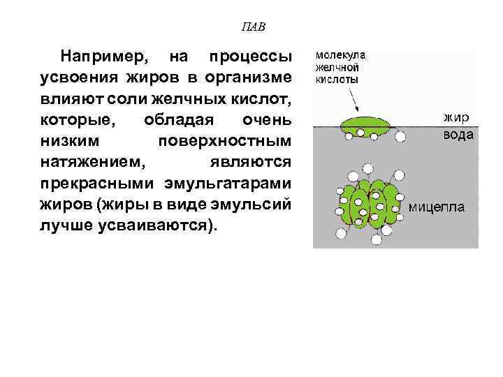 ПАВ Например, на процессы усвоения жиров в организме влияют соли желчных кислот, которые, обладая