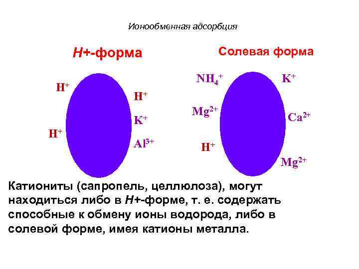 Ионообменная адсорбция Солевая форма Н+-форма H+ NH 4+ H+ K+ Al 3+ Mg 2+