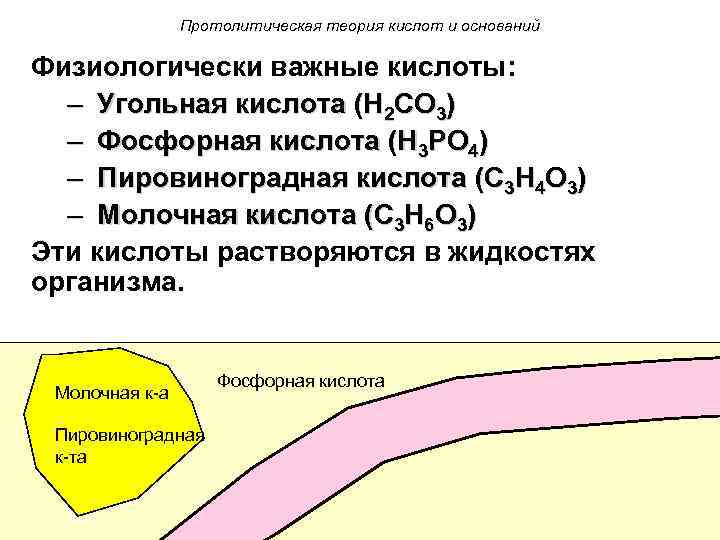Протолитическая теория кислот и оснований Физиологически важные кислоты: – Угольная кислота (H 2 CO