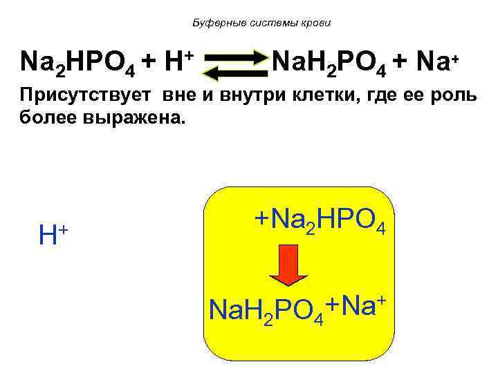 Буферные системы крови Na 2 HPO 4 + H+ Na. H 2 PO 4
