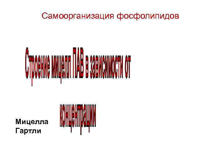 Самоорганизация фосфолипидов Мицелла Гартли 