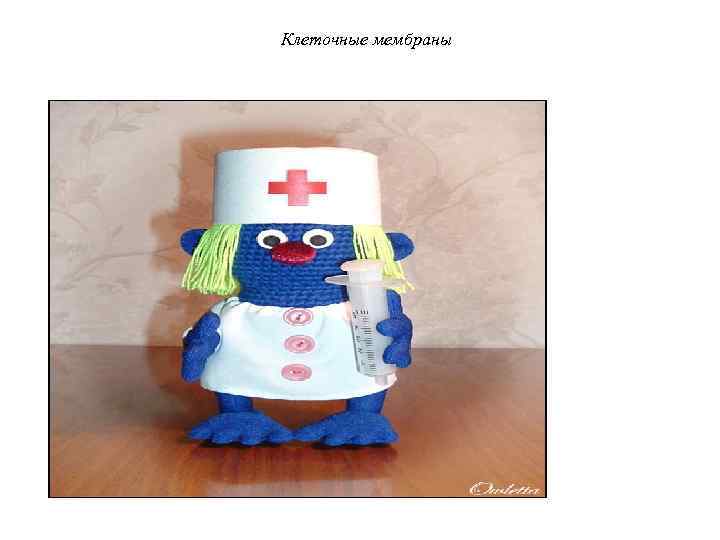 Клеточные мембраны 