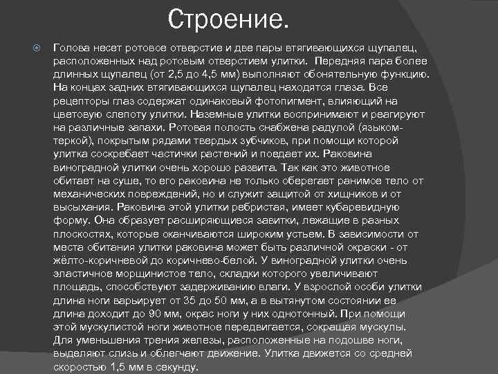 Строение. Голова несет ротовое отверстие и две пары втягивающихся щупалец, расположенных над ротовым отверстием
