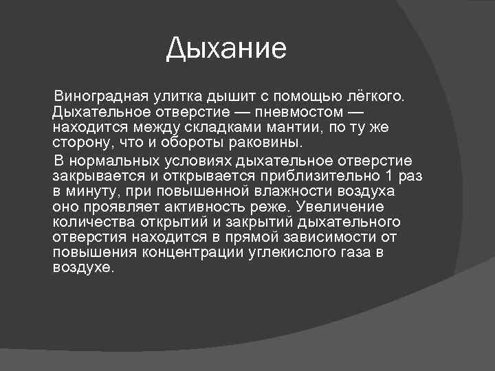 Дыхание Виноградная улитка дышит с помощью лёгкого. Дыхательное отверстие — пневмостом — находится между