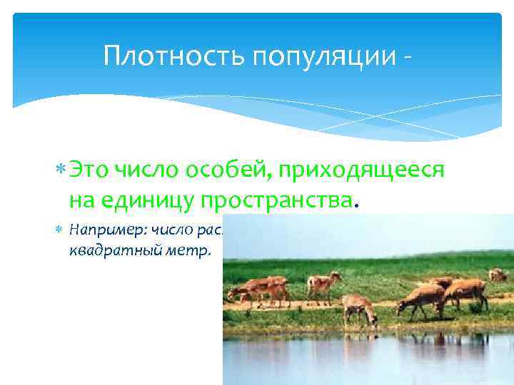 Плотность популяции Это число особей, приходящееся на единицу пространства. Например: число растений одуванчика на
