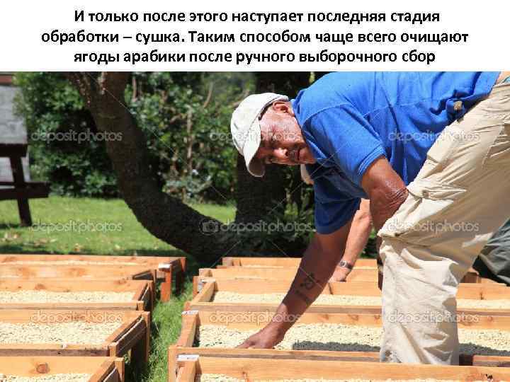  И только после этого наступает последняя стадия обработки – сушка. Таким способом чаще
