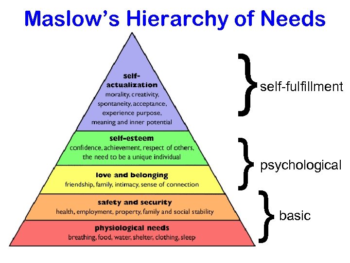 Maslow’s Hierarchy of Needs } } self-fulfillment psychological } basic 