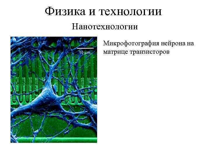Физика и технологии Нанотехнологии Микрофотография нейрона на матрице транзисторов 
