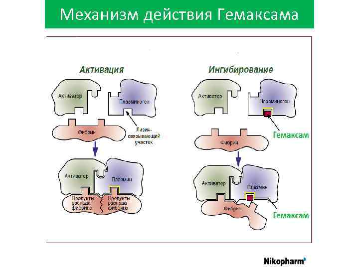 Кислоты механизм действия