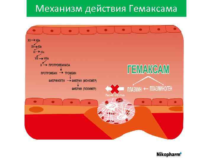 Механизм действия Гемаксама 