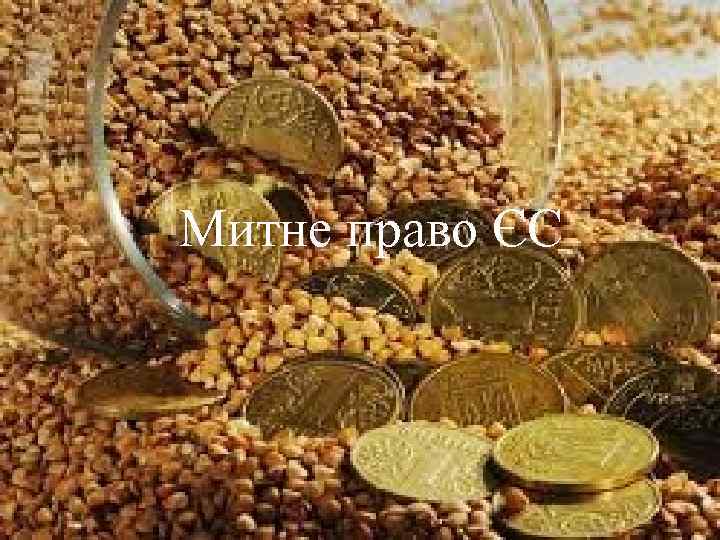 Митне право ЄС 