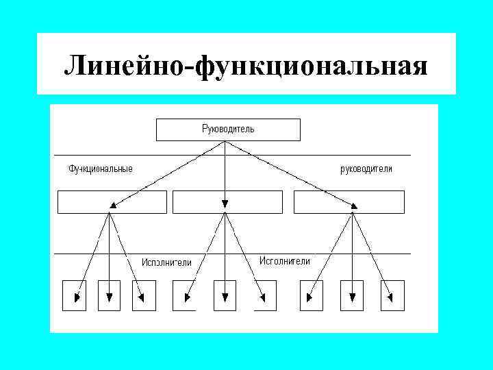 Линейно-функциональная 