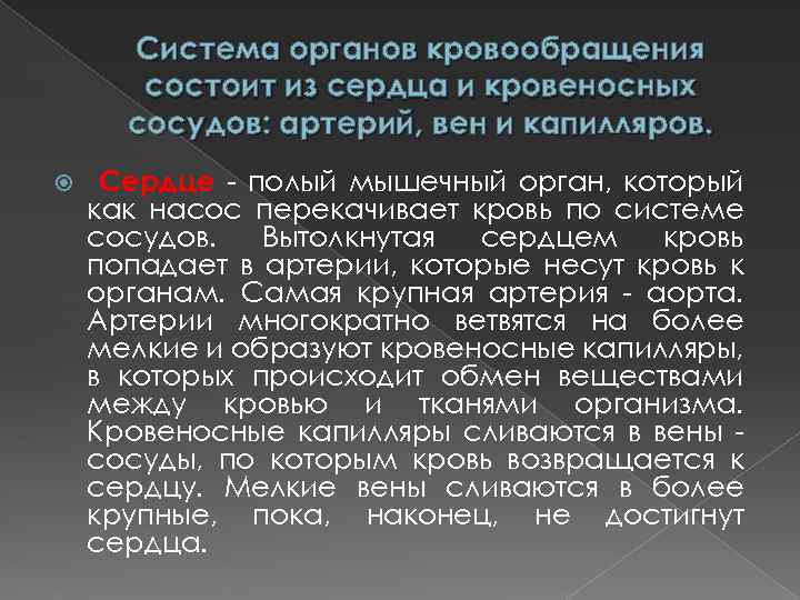 Система органов кровообращения состоит из сердца и кровеносных сосудов: артерий, вен и капилляров. Сердце