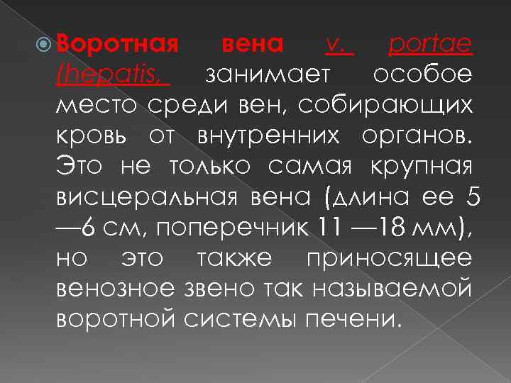  Воротная вена v. portae (hepatis, занимает особое место среди вен, собирающих кровь от