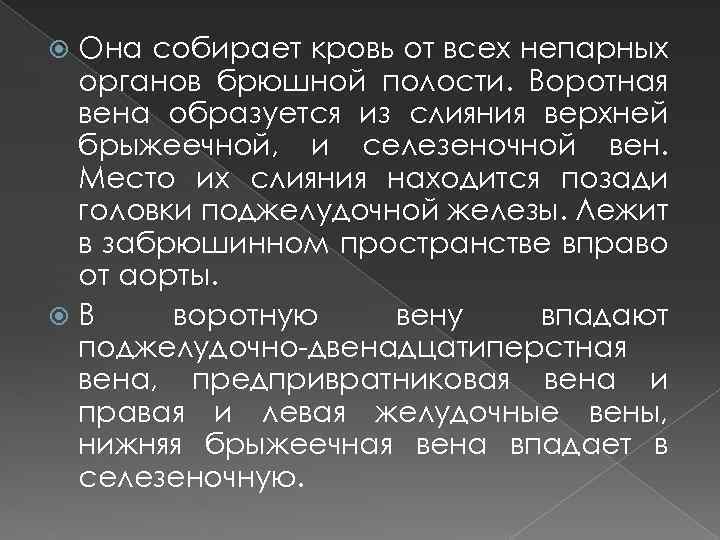 Она собирает кровь от всех непарных органов брюшной полости. Воротная вена образуется из слияния