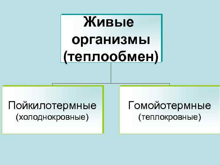 Живые организмы (теплообмен) Пойкилотермные Гомойотермные (холоднокровные) (теплокровные) 