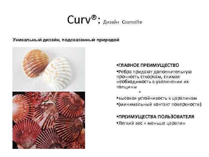 Curv®: Дизайн Cosmolite Уникальный дизайн, подсказанный природой • ГЛАВНОЕ ПРЕИМУЩЕСТВО • Ребра придают дополнительную