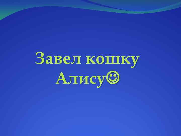 Завел кошку Алису 