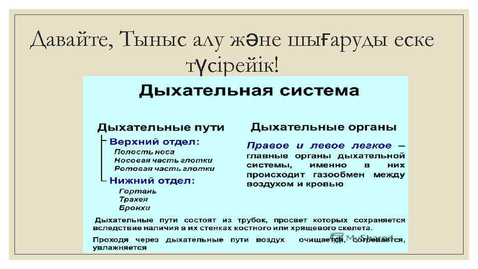 Давайте, Тыныс алу және шығаруды еске түсірейік! 
