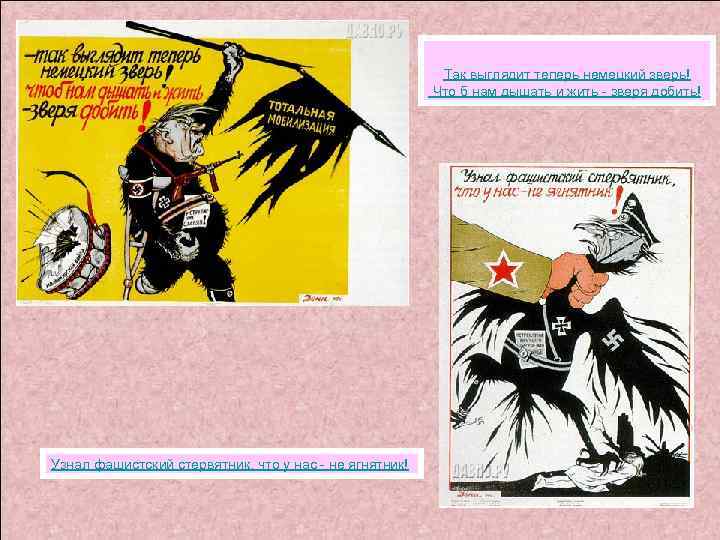 Так выглядит теперь немецкий зверь! Что б нам дышать и жить - зверя добить!