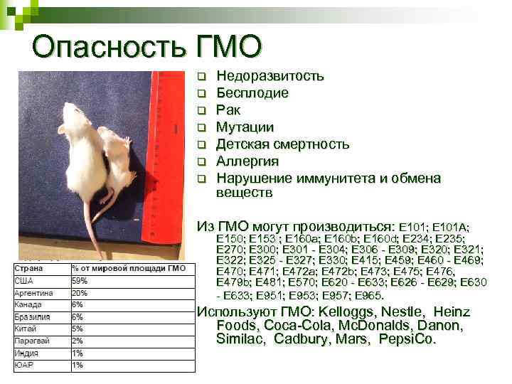 Опасность ГМО q q q q Недоразвитость Бесплодие Рак Мутации Детская смертность Аллергия Нарушение