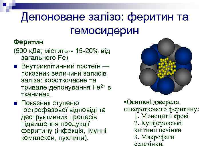 Депоноване залізо: феритин та гемосидерин Феритин (500 к. Да; містить 15 -20% від загального