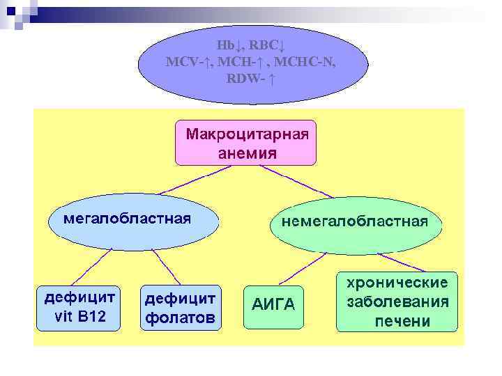 Hb↓, RBC↓ MCV-↑, MCH-↑ , MCHC-N, RDW- ↑ 